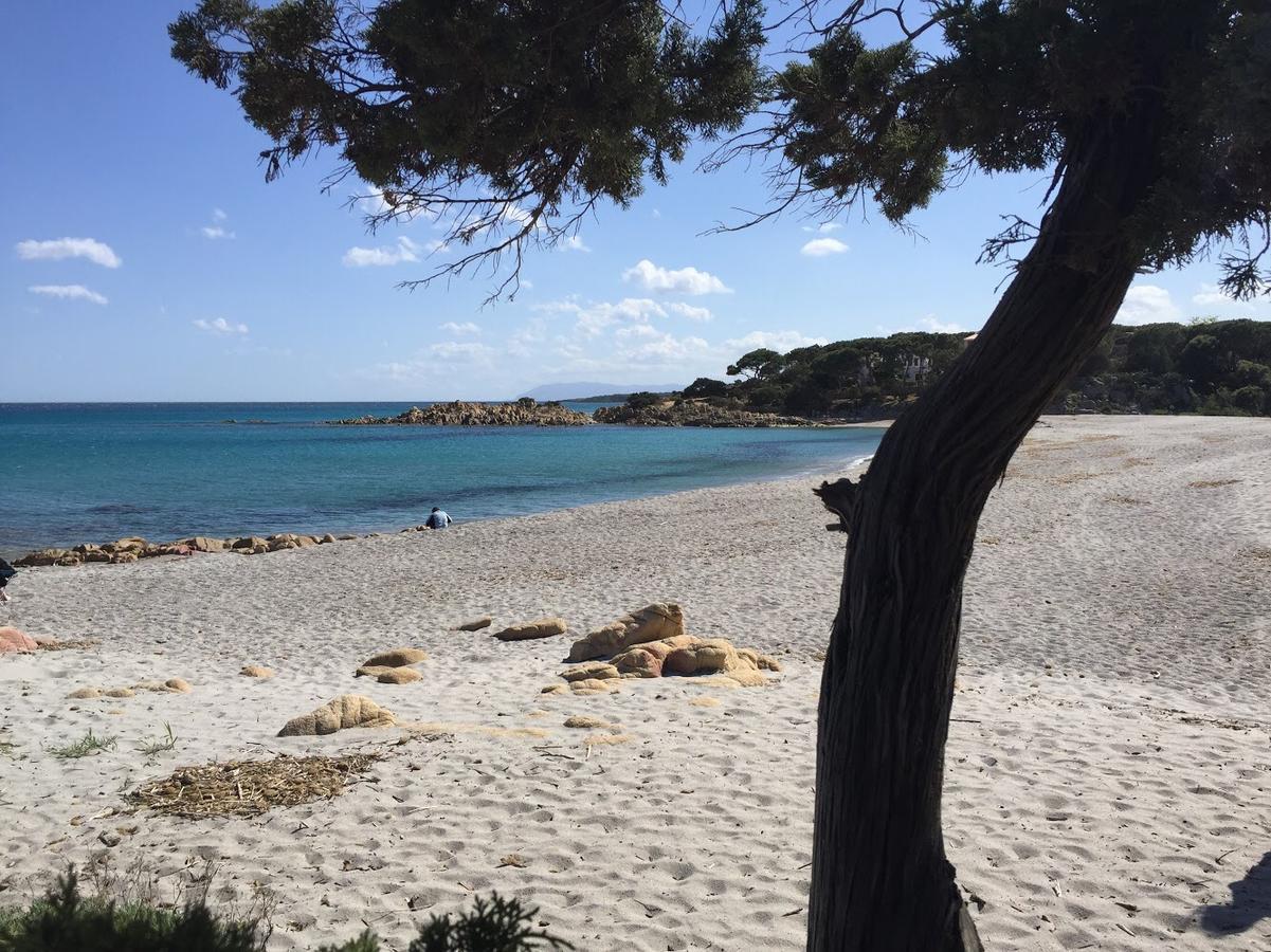 Residence "Il Sestante" Cala Liberotto Kültér fotó