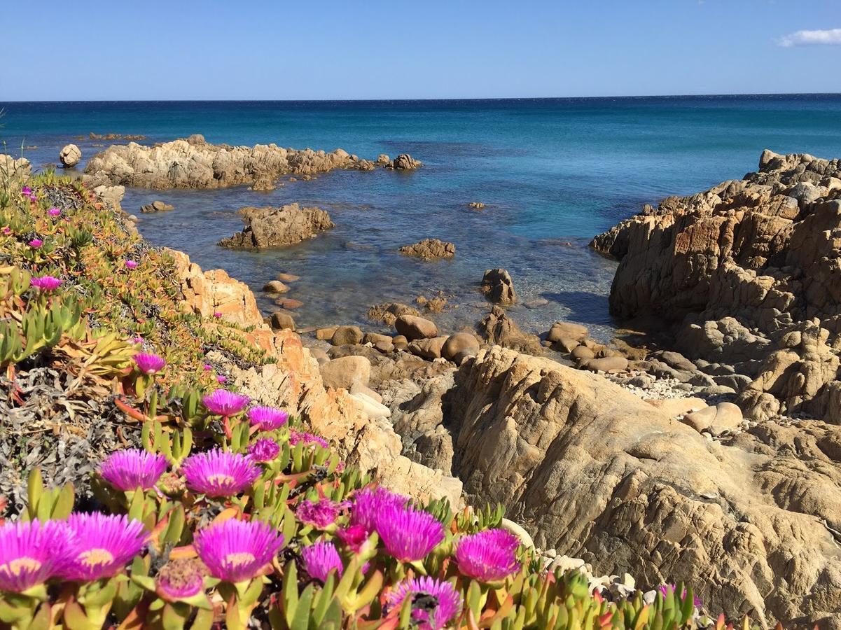 Residence "Il Sestante" Cala Liberotto Kültér fotó