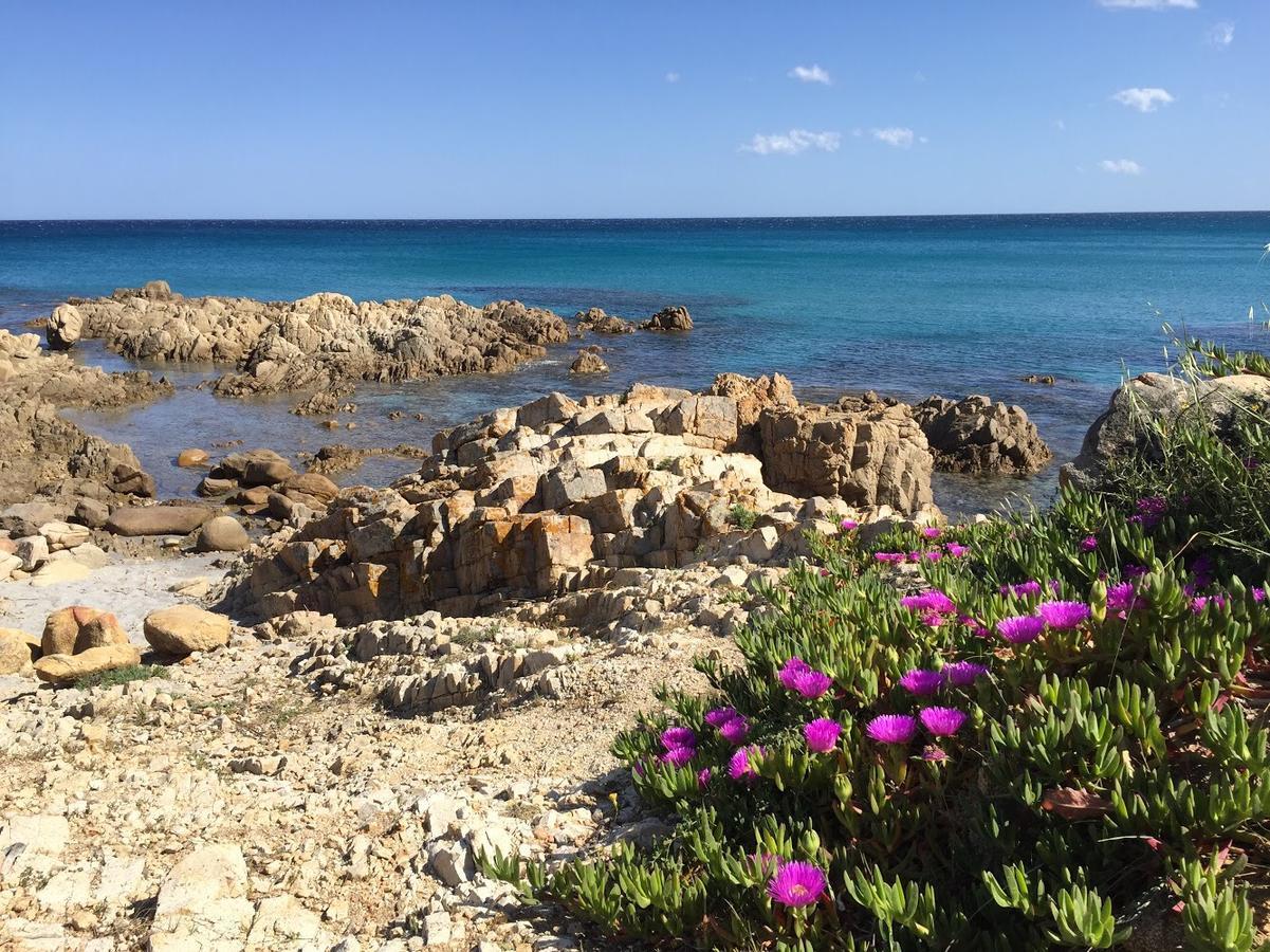 Residence "Il Sestante" Cala Liberotto Kültér fotó